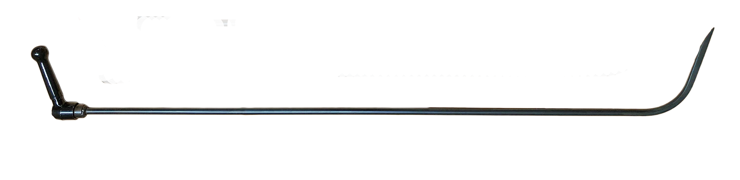 THE OSTRICH